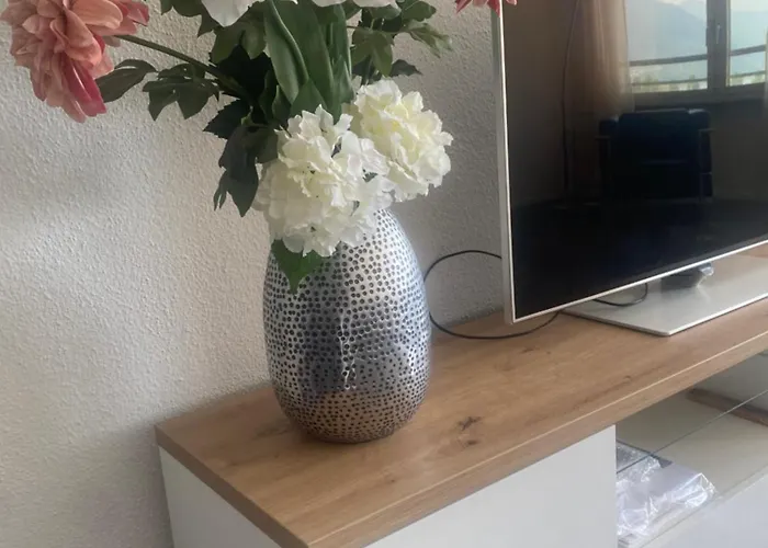 Panorama Apartment Locarno